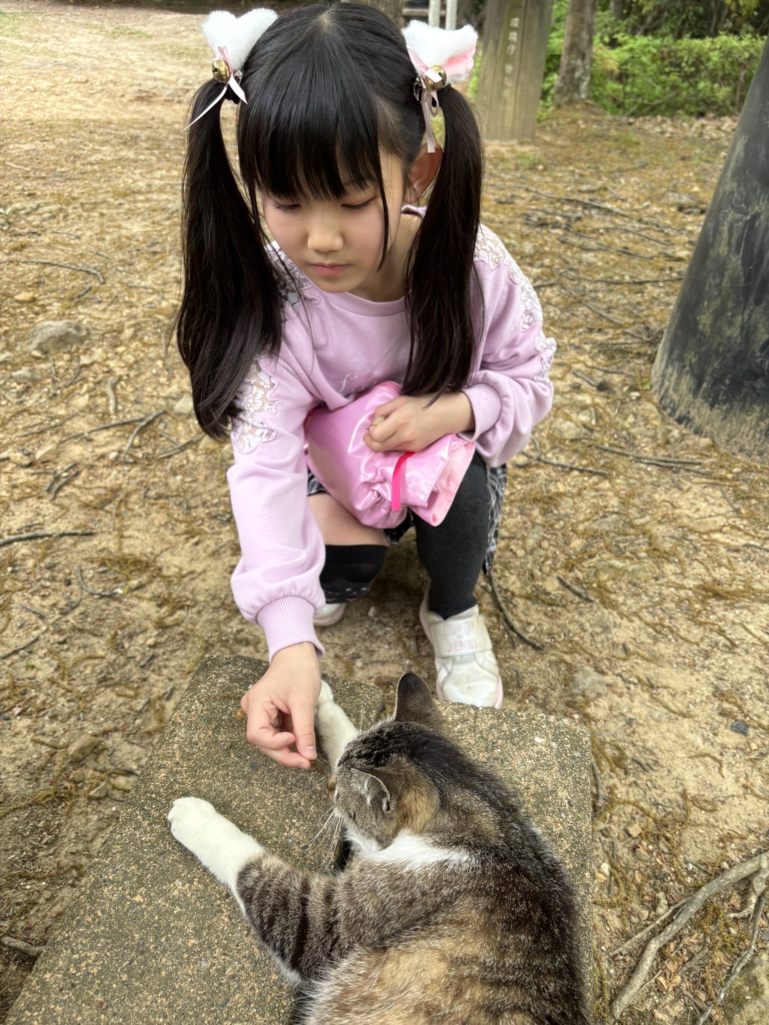 ねね🐰チビ☆カン💖@10/30プラスタZepp名古屋ありがとうご