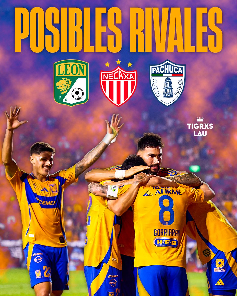 Absolute Tigres tweet media