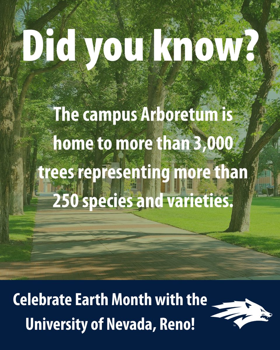 unevadareno's tweet image. The @unevadareno campus is home to an impressive Arboretum with over 3,000 trees and more than 250 species and varieties! 🌳 Celebrate Earth Month by walking on campus, learning about native plants, and appreciating their natural beauty. #EarthMonth #BlueIsTheNewGreen
