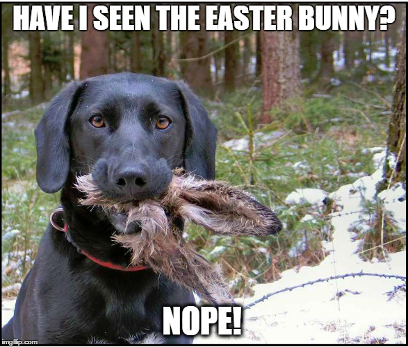 I haven't seen him!! 😂 Happy Easter #Fambam!!