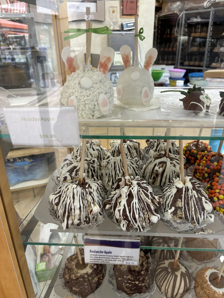 I went to the Citadel Outlets and they had such cute easter treats at the chocolate store. The candy apple bunnies were adorable! I tried chocolate caramel clusters, which were so good. The Kate Spade Outlet had really pretty purses too.