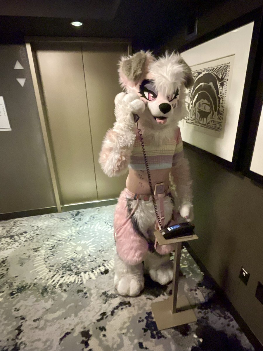 Is this the krusty krab             No this is patrick