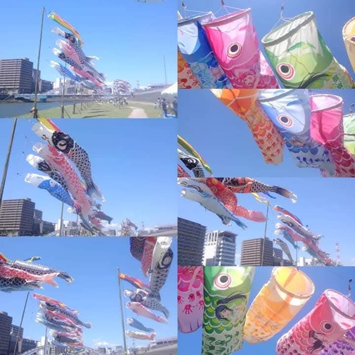 0un33p0x725384m's tweet photo. ４月２9日から５月５日まで
沼津の狩野川こいのぼりフェスティバルが開催されます https://t.co/mMsKXaB9nv