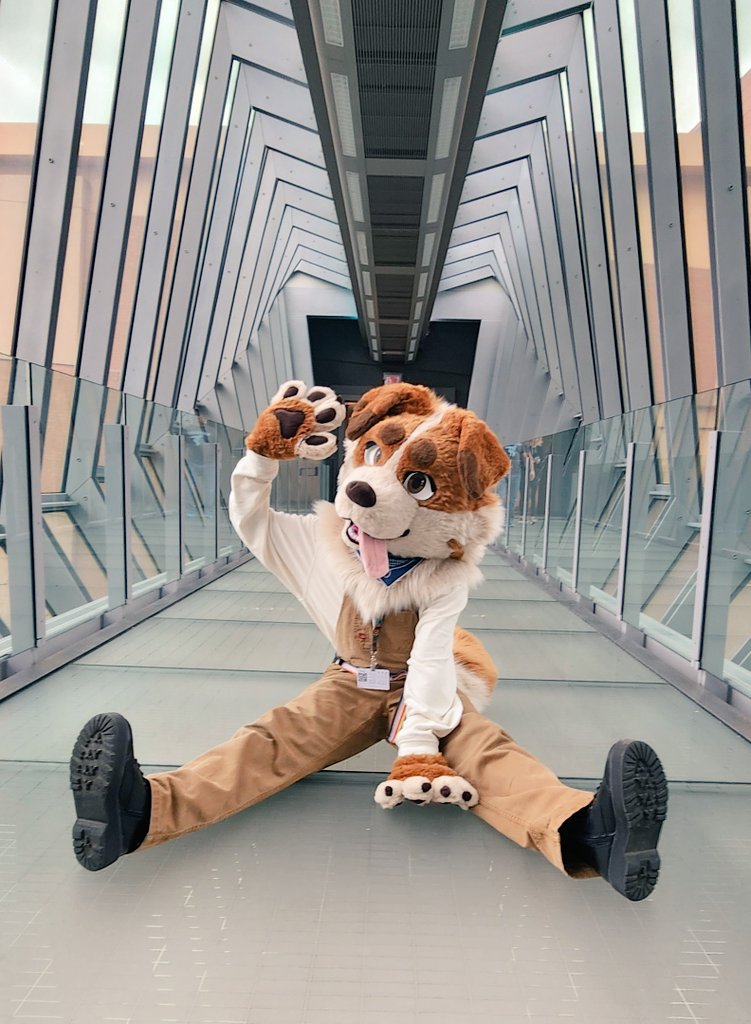 had a great time at anthrohio! see y'all at anthrocon :)