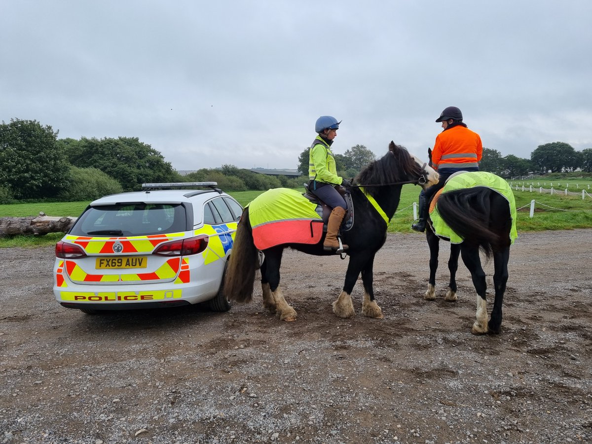 Please leave plenty of room when passing our county's horses - their reaction can be unpredictable when exposed to loud/unexpected noises and their natural response is flight. 

When safe to do so, pass wide and slow - Highway Code Rule 215