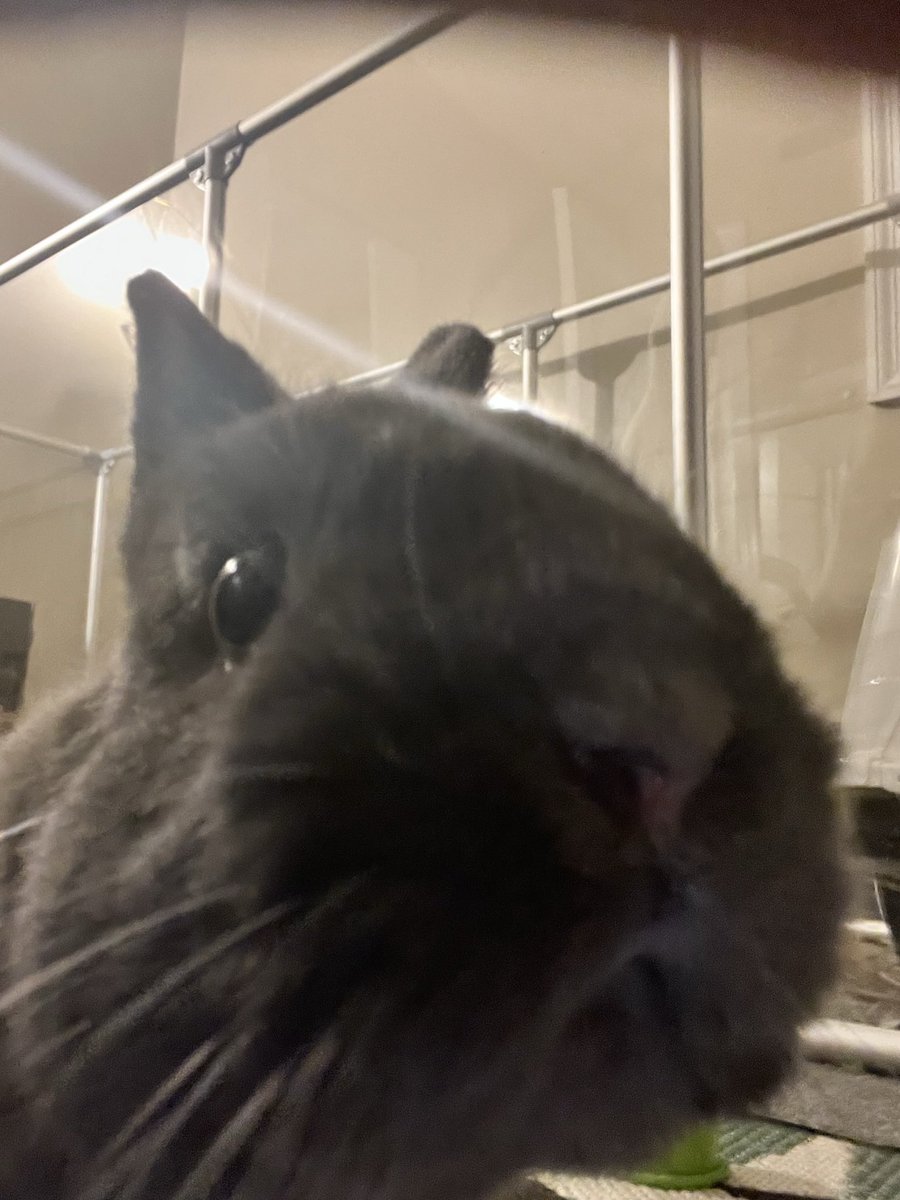 jernylovee's tweet photo. IT’S MY SON’S BIRTHDAY!! MAKE SOME NOISE 🤪😤🎊 https://t.co/YF5g8CsX8I