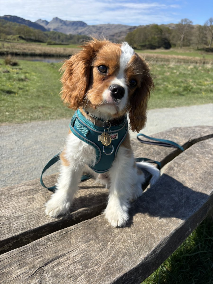 First trip to The Lakes today 🥰 Had a great time with lots of #plonks