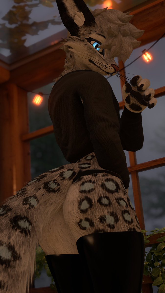 Mrrwao... I can see you over there