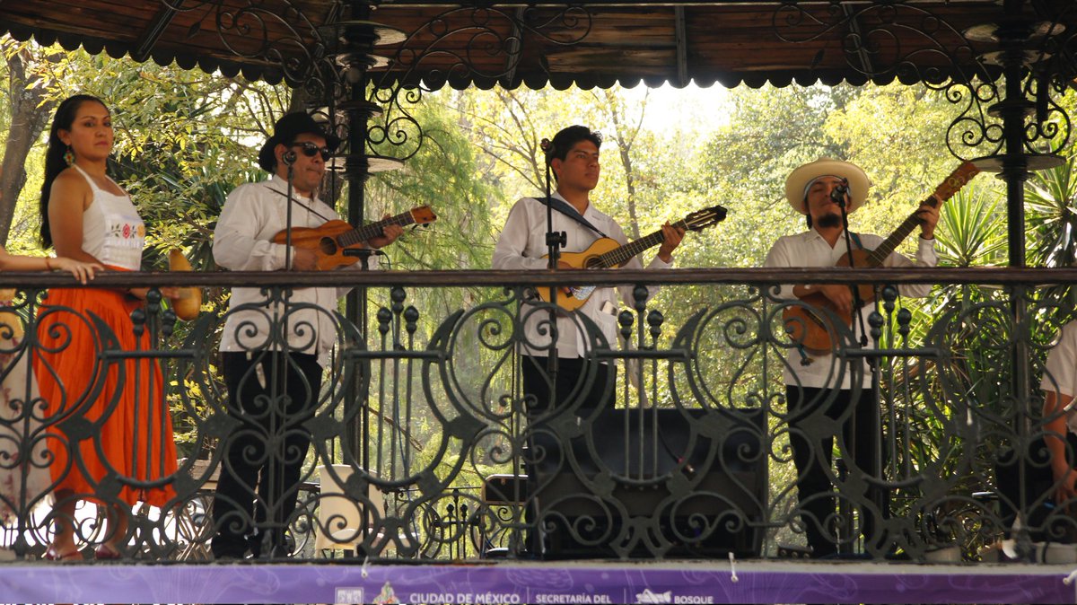 SEDEMA_CDMX's tweet image. El @BosqueFest SPORA está por terminar pero aún tenemos muchas actividades para que te sumerjas en el maravilloso mundo del reino fungi. 🍄

Consulta la cartelera y ven a disfrutar de este festival ➡️ festivaldelbosque.com

1/2🧵