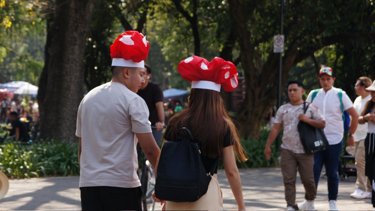 El <a href="/BosqueFest/">Spora: Festival del Bosque de Chapultepec</a> SPORA está por terminar pero aún tenemos muchas actividades para que te sumerjas en el maravilloso mundo del reino fungi. 🍄

Consulta la cartelera y ven a disfrutar de este festival ➡️ festivaldelbosque.com

1/2🧵
