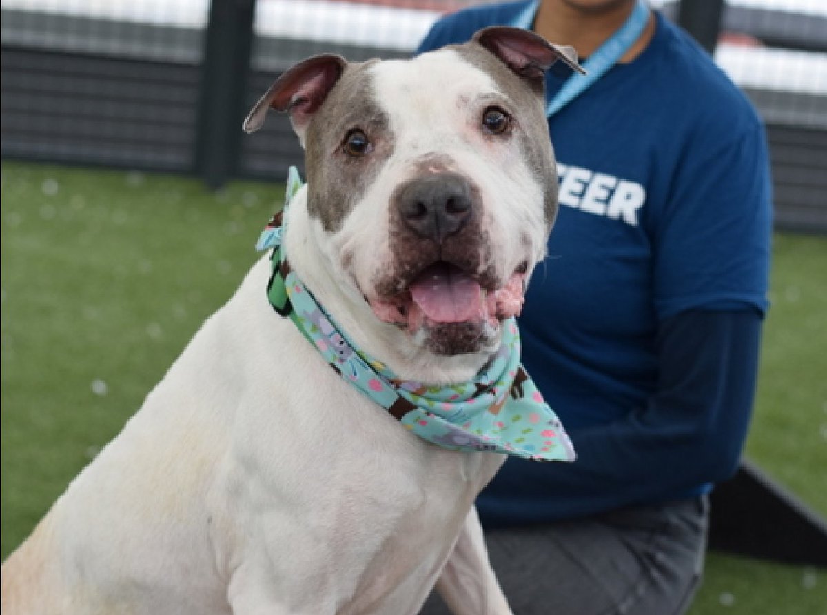 Not the Same tweet media