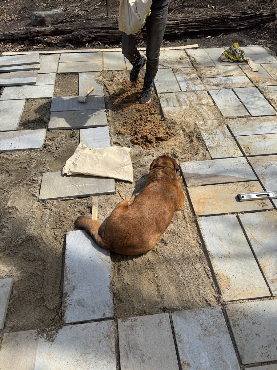 Roland: chief supervisor patio installation