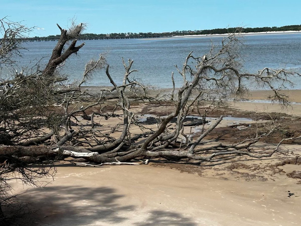 AuthenticFL's tweet photo. Can anyone guess where we took these photos?
#Florida #LoveAF #AuthenticFlorida #roadtrip #SundayFunday #Easter https://t.co/gJBx6B79WS