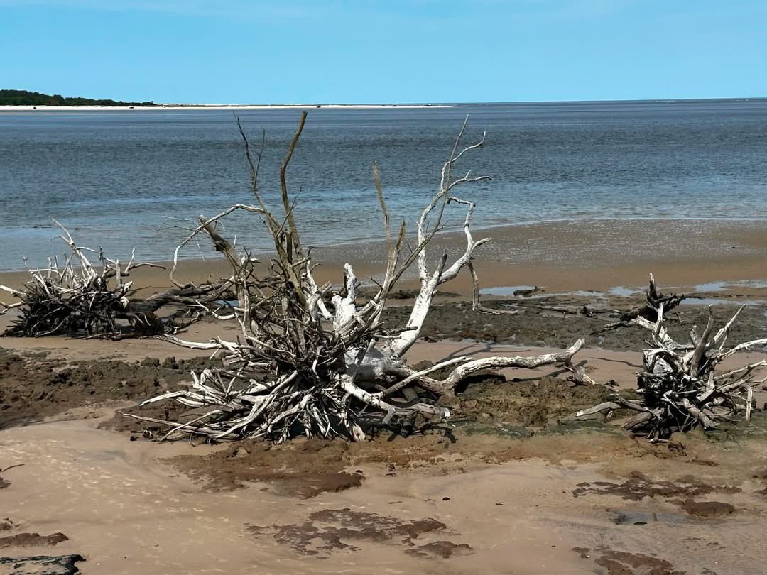 AuthenticFL's tweet photo. Can anyone guess where we took these photos?
#Florida #LoveAF #AuthenticFlorida #roadtrip #SundayFunday #Easter https://t.co/gJBx6B79WS