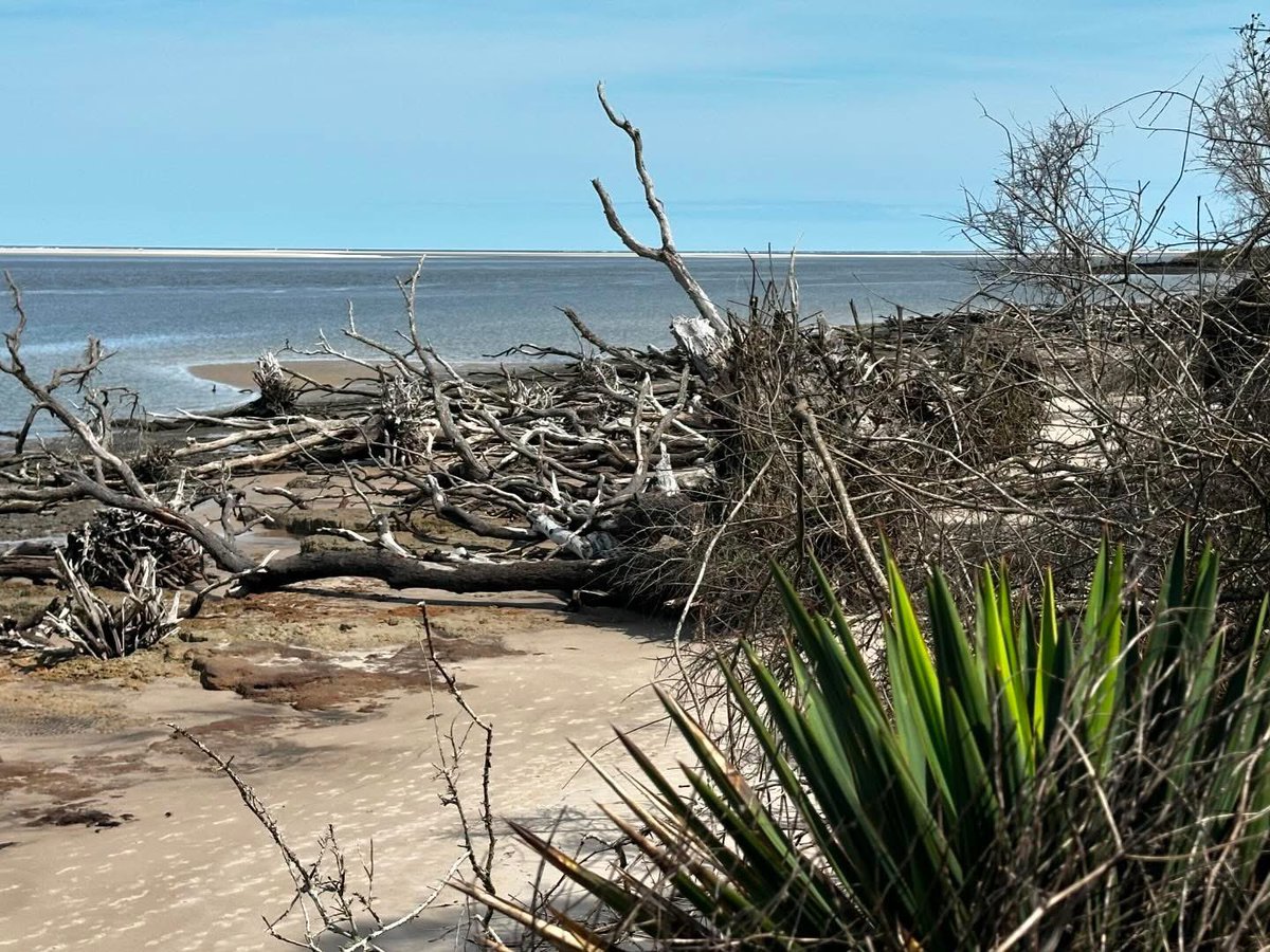 AuthenticFL's tweet photo. Can anyone guess where we took these photos?
#Florida #LoveAF #AuthenticFlorida #roadtrip #SundayFunday #Easter https://t.co/gJBx6B79WS