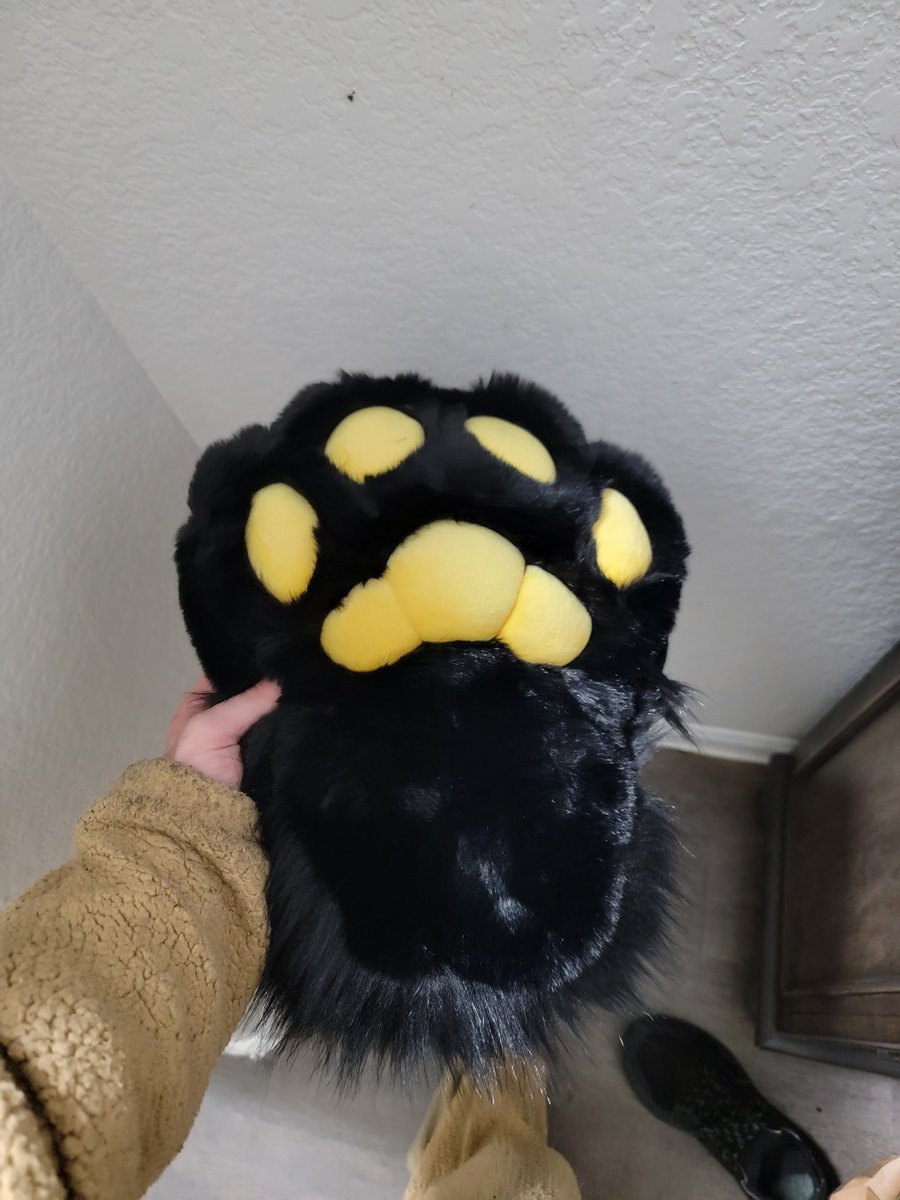 Got some steppers #paws