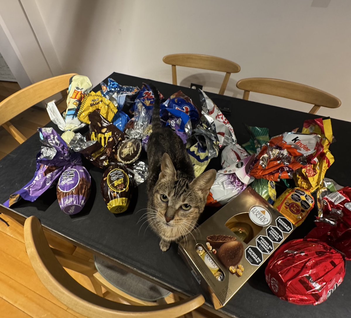 hola felises pascuas, para festejar:

🚨HOY 19.00HS 🚨

MUNDIAL DE HUEVOS. ft <a href="/Santetitas/">Santutu</a> 

trae tus huevos, no faltes 🥰
kick.com/unicornio