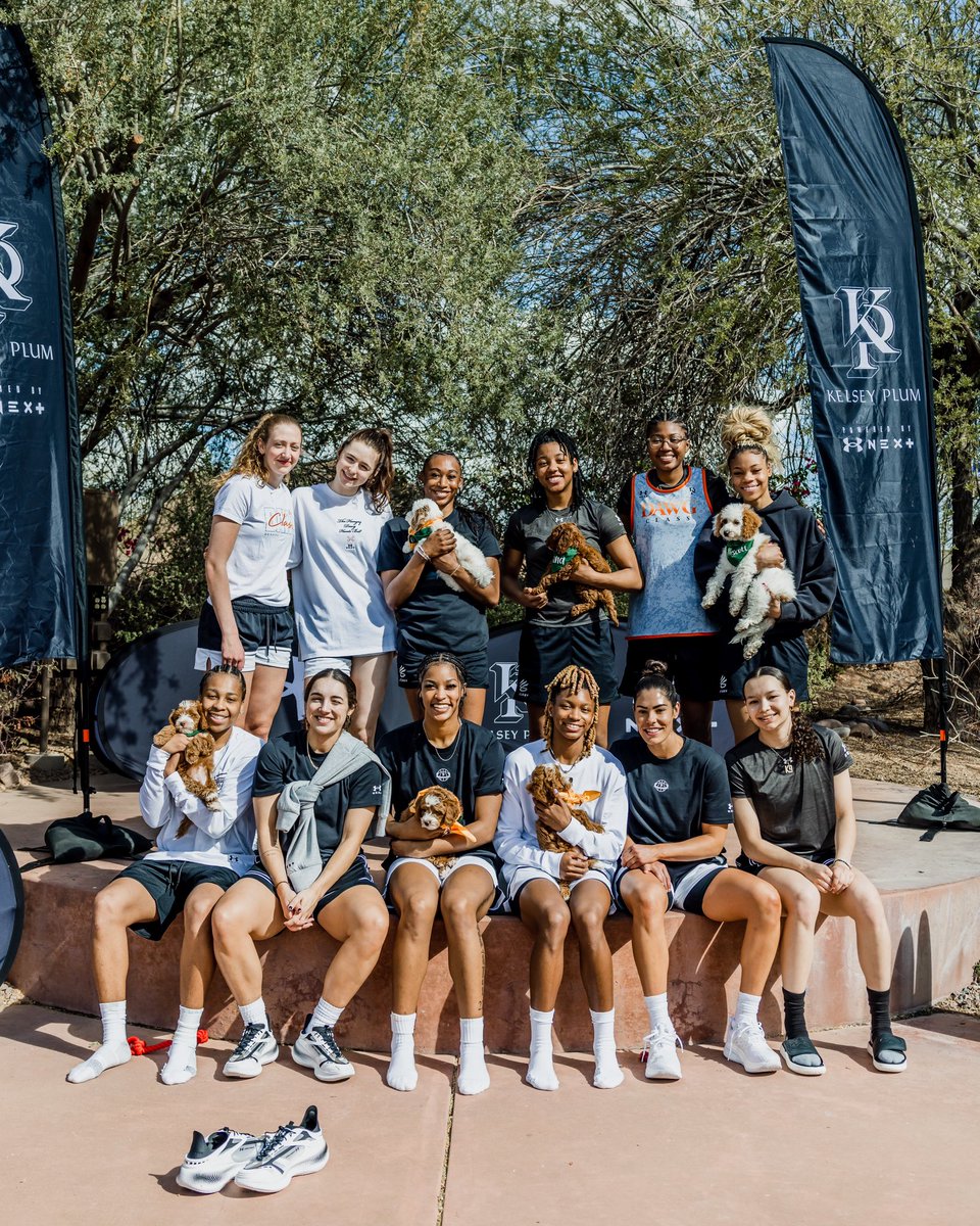 UAbasketball's tweet image. Bringing some paw-sitivity to your timeline 🐶