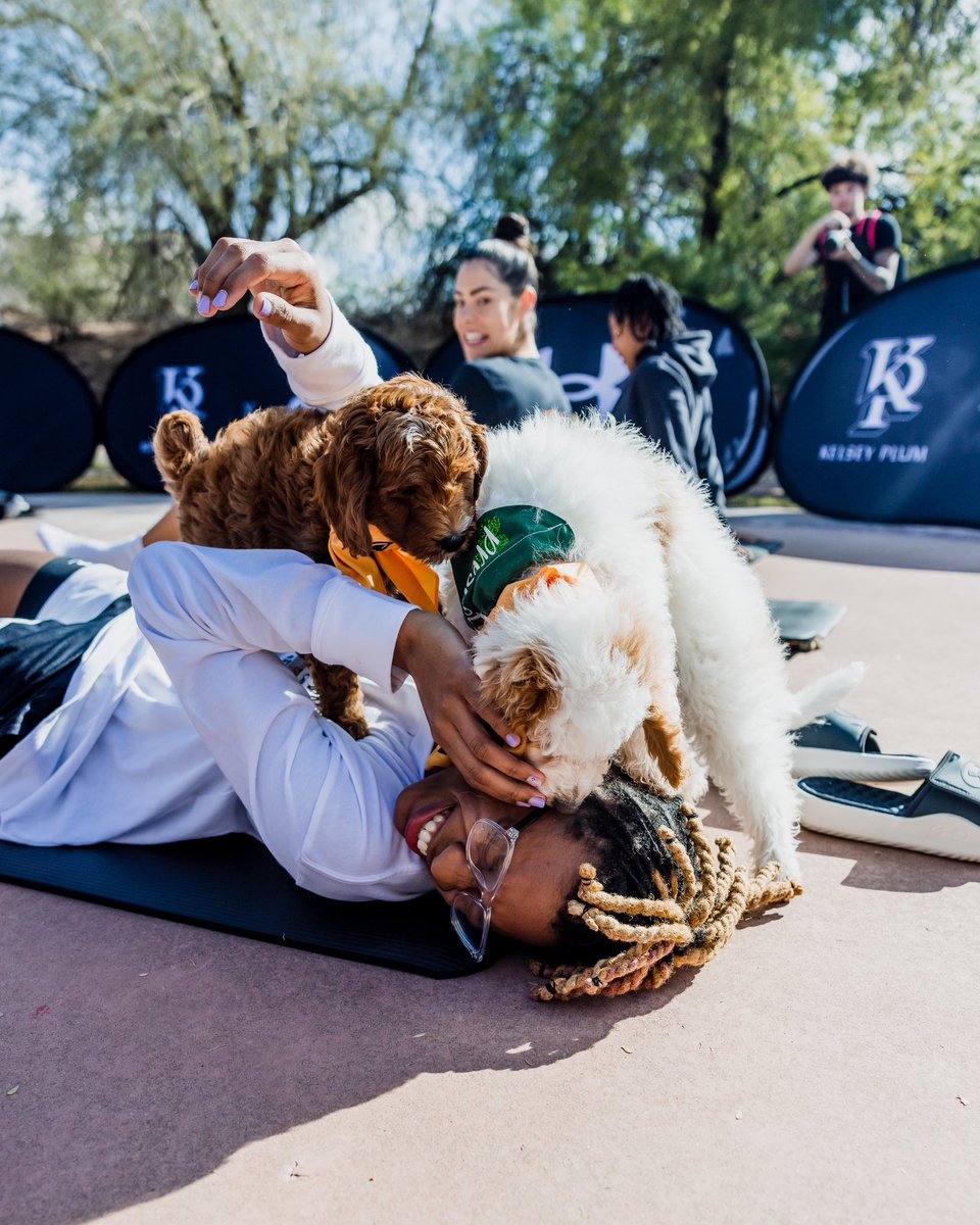 UAbasketball's tweet image. Bringing some paw-sitivity to your timeline 🐶