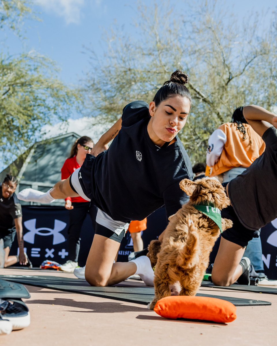 UAbasketball's tweet image. Bringing some paw-sitivity to your timeline 🐶