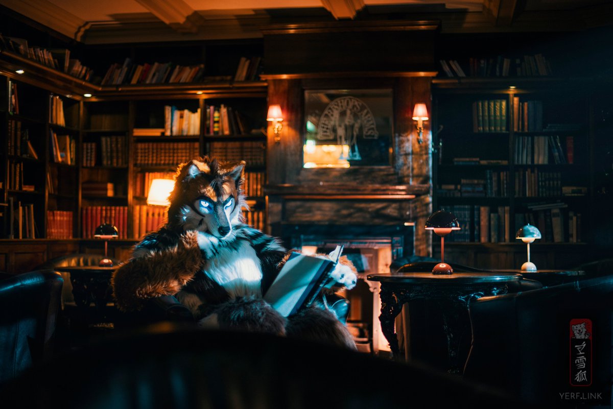 While the rain softly taps against the window of the old library, I spend the evening invested in a story from a distant past.

#Fursuit #Furry #FursuitEveryday