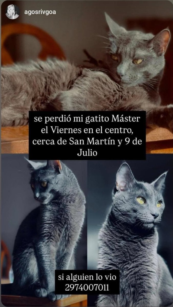 Claudia Riveros tweet media