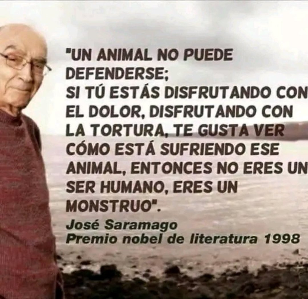 CSARPL3's tweet photo. @BBegano @GobAsturias El vídeo es aterrador y no es el único que vemos así. La caza debería estar prohibida por Ley. Además se ve que cazan de noche, cobardía absoluta.
La opinión más general es que los cazadores están mal de la cabeza pero su crueldad y sadismo los convierten en psicópatas de libro. https://t.co/G2GYchNf7l
