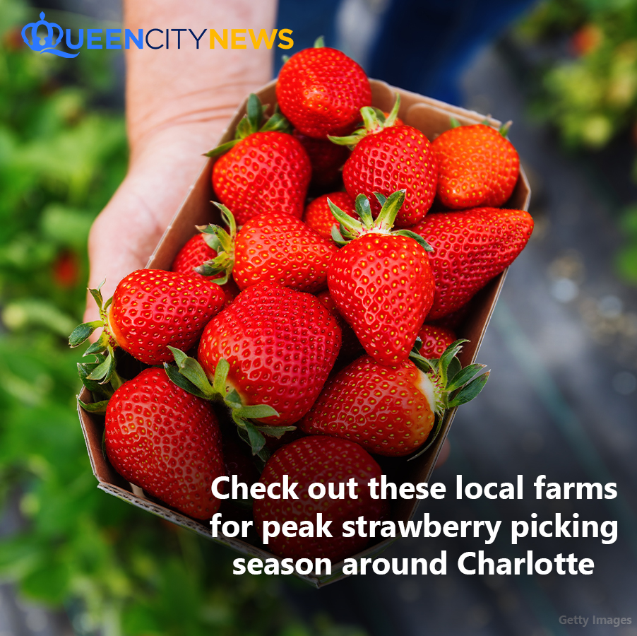 Queen City News tweet media
