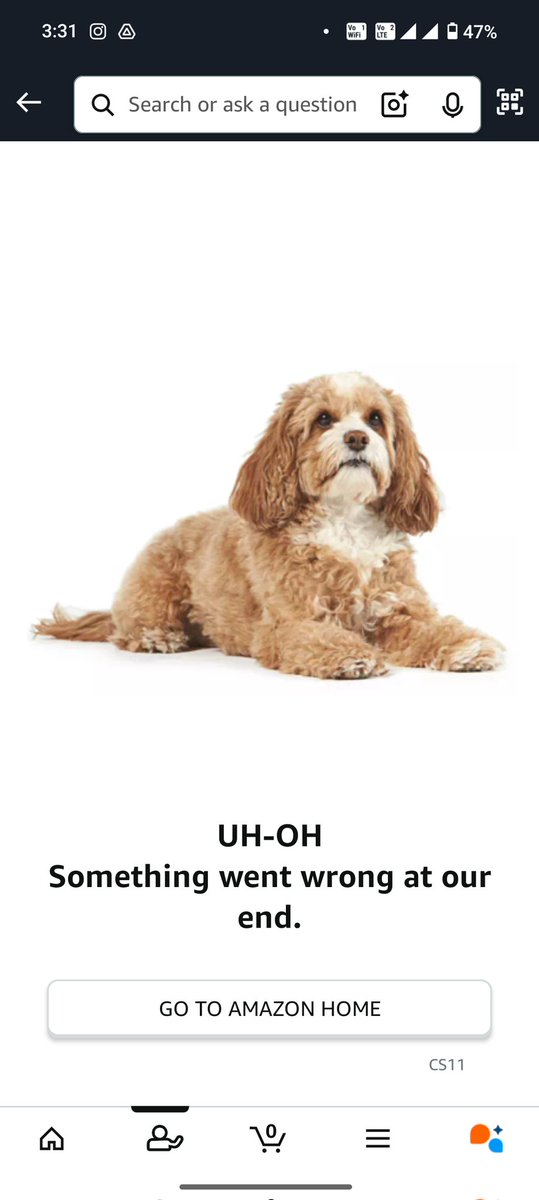 ROJASKOONTHANAM's tweet image. Hello, I&apos;m unable to access my Amazon paylater account.Please help me to rectify the same  #Amazon #amazonpaylater #amazonhelp #AmazonIndia #amazonsupport . It&apos;s showing like this(screenshot)