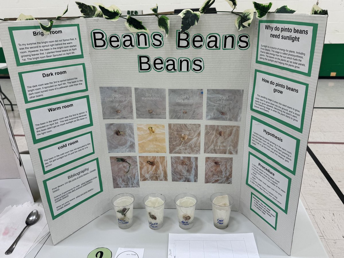 Shaune Beatty (@shaunebeatty) on Twitter photo So impressed with the recent Science Fair event at <a href="/GraysonSchoolSK/">Grayson School SK</a>. Little school with so many great things occurring. <a href="/GSSD204/">Good Spirit SD</a> So impressed with the recent Science Fair event at <a href="/GraysonSchoolSK/">Grayson School SK</a>. Little school with so many great things occurring. <a href="/GSSD204/">Good Spirit SD</a>