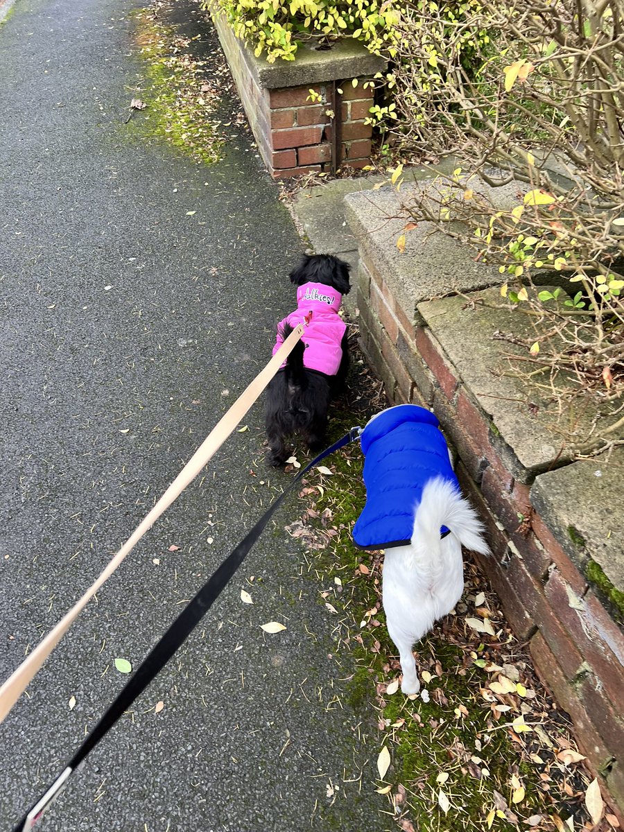Steven RMN (@steven25364370) on Twitter photo 34 miles this week. Some lovely walks and enjoying the Easter weekend . Off to Blackpool v Wrexham tomorrow with the wife , first game she’s been to for a while. <a href="/WrexhamFX/">Welcome to Wrexham</a> fan she is. Let’s hope we beat them and crush deadpools dreams. Tangerine!
423 miles total
#NHS1000miles 34 miles this week. Some lovely walks and enjoying the Easter weekend . Off to Blackpool v Wrexham tomorrow with the wife , first game she’s been to for a while. <a href="/WrexhamFX/">Welcome to Wrexham</a> fan she is. Let’s hope we beat them and crush deadpools dreams. Tangerine!
423 miles total
#NHS1000miles