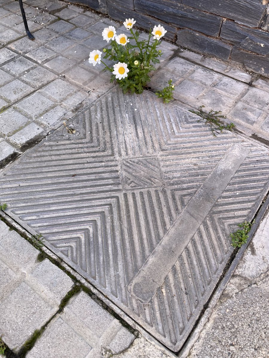 Aquesta foto pot tenir diferents títols.