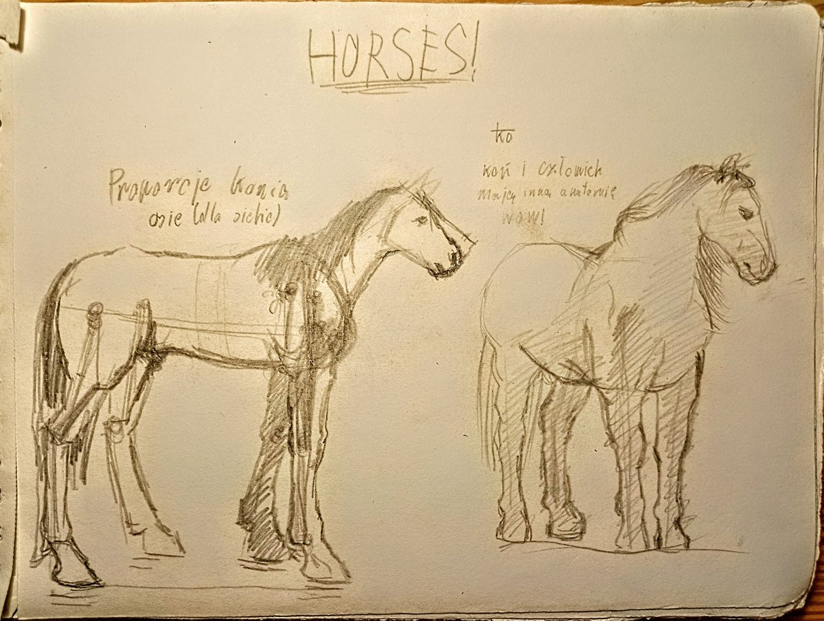 GreenMapet's tweet photo. Więcej koników 🐎❤️/ 
More horses🐎❤️

#horses #sketches #sketchbook https://t.co/l4ew3haBJT