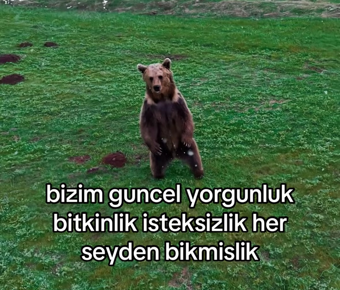 Thelan (@_pandagram) on Twitter photo 