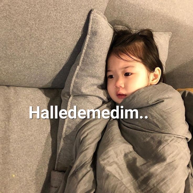 SİBELL tweet media