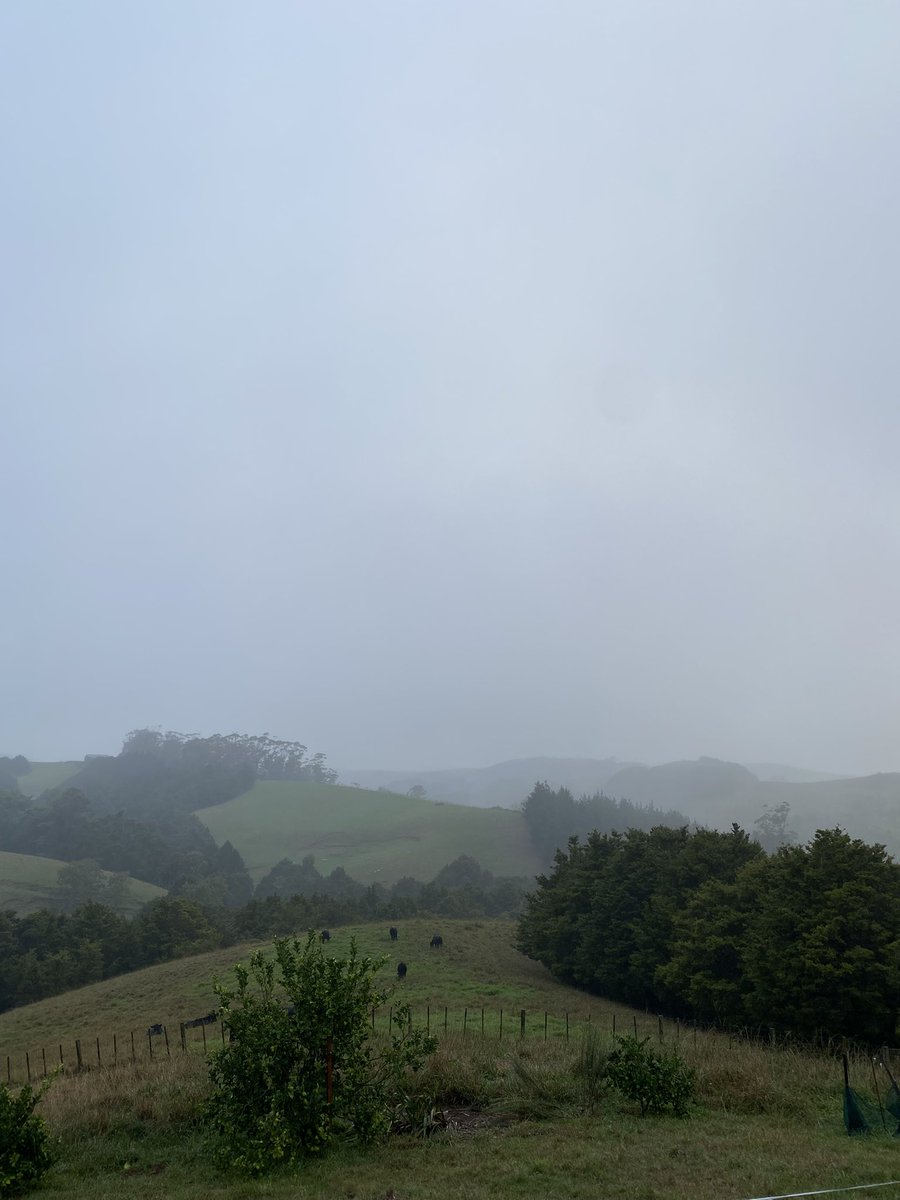 Mōrena from day 6 Powercut. No phone cover now as the cellphone tower must have run out of battery.