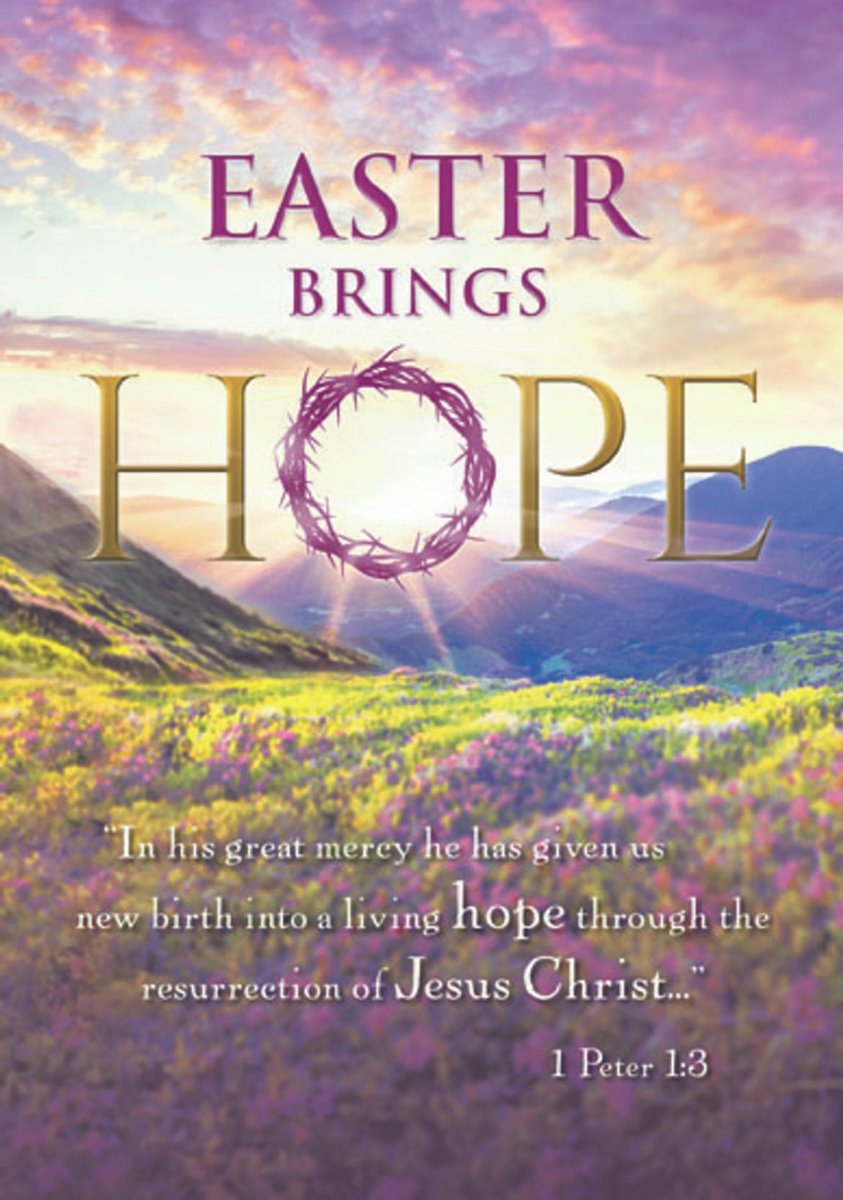 Christina Sullivan Foundation tweet media