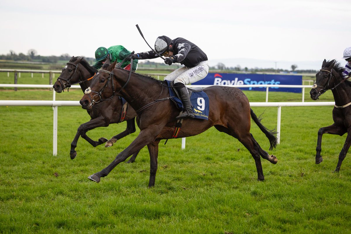 Tattersalls Ireland (@tattersalls_ie) on Twitter photo โญ๏ธ ๐๐ผ๐ ๐๐ ๐ฆ๐๐ฎ๐ฟ๐๐ฒ๐ฑ ๐๐ ๐๐ผ๐ ๐๐'๐ ๐๐ผ๐ถ๐ป๐ด
๐ท I'm Slippy pictured prior to going through the sales ring at the 2024 Derby Sale.
๐ Earlier today he won the โฌ100,000 Tattersalls Ireland George Mernagh Memorial Sales Bumper.
#DerbySale #TattsIrelandGrad โญ๏ธ ๐๐ผ๐ ๐๐ ๐ฆ๐๐ฎ๐ฟ๐๐ฒ๐ฑ ๐๐ ๐๐ผ๐ ๐๐'๐ ๐๐ผ๐ถ๐ป๐ด
๐ท I'm Slippy pictured prior to going through the sales ring at the 2024 Derby Sale.
๐ Earlier today he won the โฌ100,000 Tattersalls Ireland George Mernagh Memorial Sales Bumper.
#DerbySale #TattsIrelandGrad