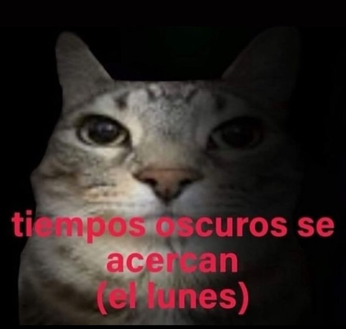 Jonatan🇮🇨 (@jonatansn94) on Twitter photo 