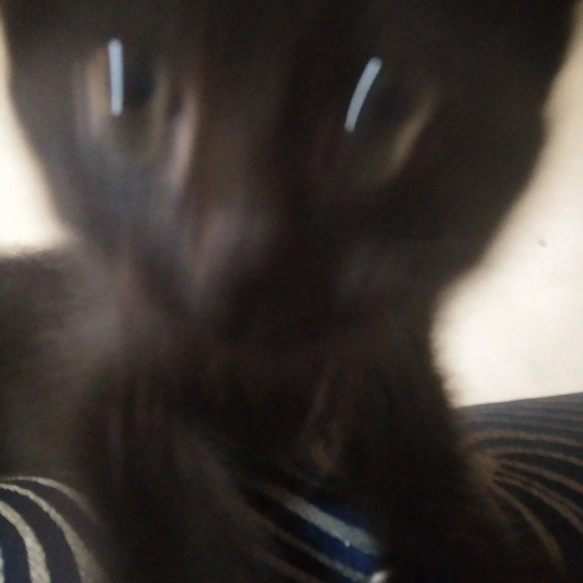 KWKWKSKKSOSOD