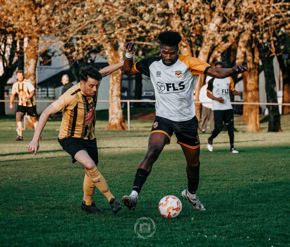 Sideline Snaps tweet media