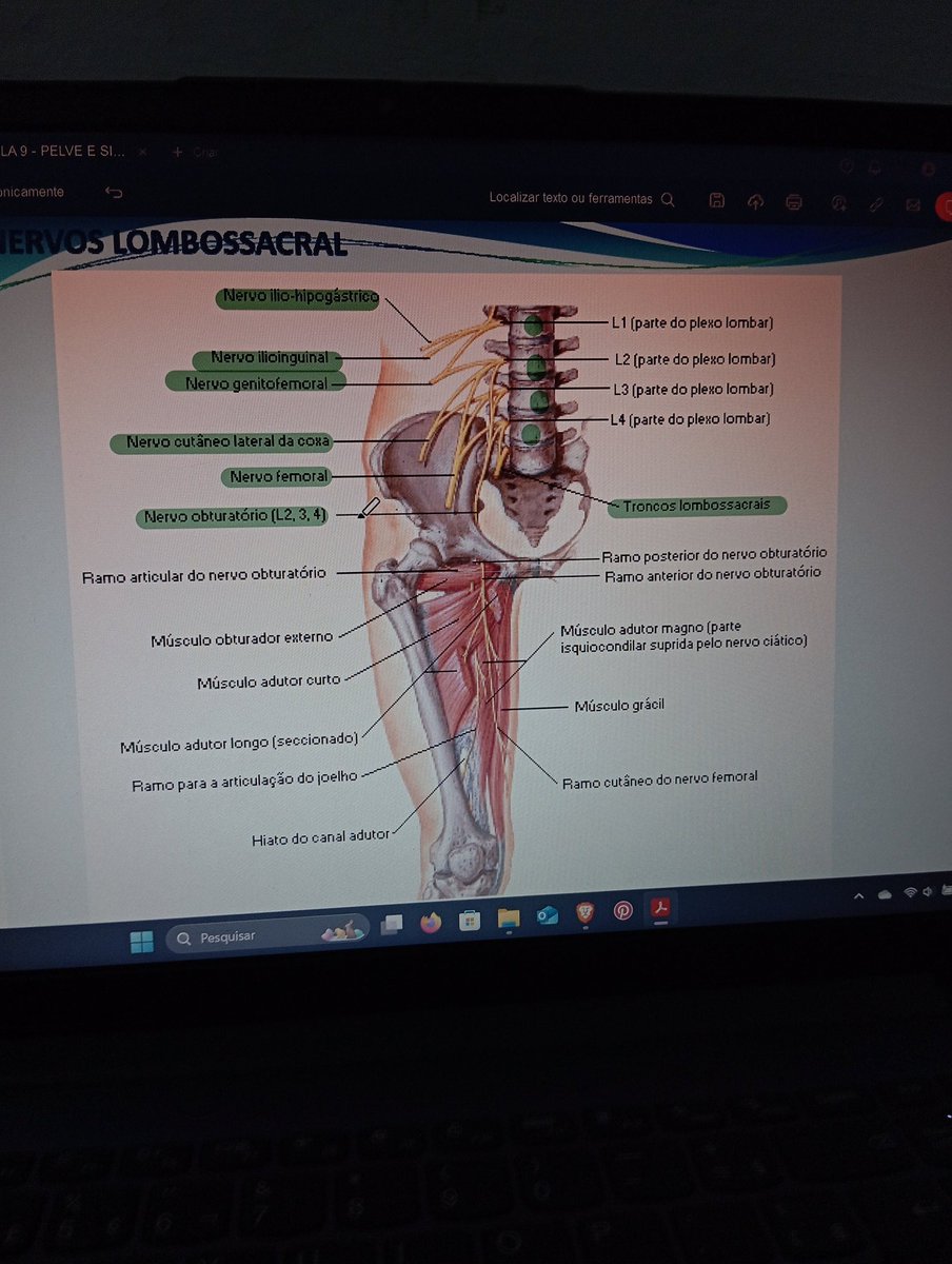 Prova de anatomia é coisa do diabo 😔