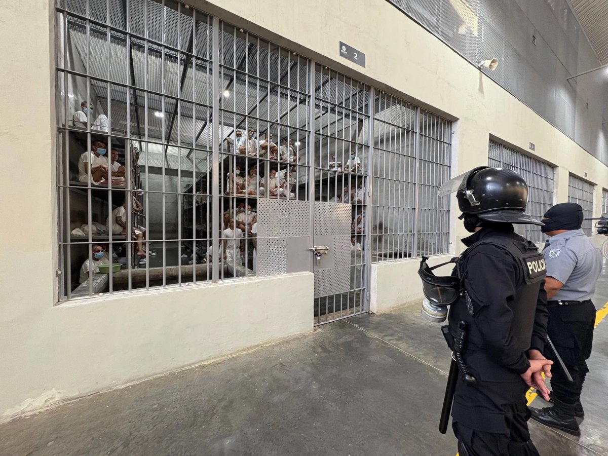 Daniel McCay tweet media