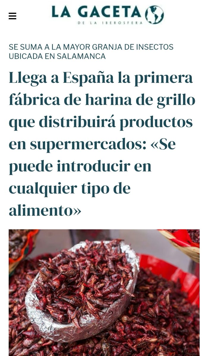 UACD_Youtube's tweet photo. DOS NOTICIAS QUE JUNTAS SE ENTIENDEN MEJOR.
LA UE HA HECHO DESAPARECER 121.000 VACAS EN ESPAÑA ESTE AÑO MIENTRAS SUBVENCIONA Y PROMUEVE LA CONSTRUCCIÓN DE MACRO GRANJAS DE INSECTOS.

ME HAN PREGUNTADO HOY CUÁL ES LA FINALIDAD DE ESTO.
Y ES OBVIO.
PONER LOS INSECTOS EN LA CAFETERÍA DEL CONGRESO, EN LOS CATERINGS DEL PARLAMENTO EUROPEO Y EN EL MENÚ DEL FALCON DE PEDRO SÁNCHEZ.

¿PARA QUÉ SI NO SUSTITUIR LAS VACAS POR INSECTOS?

Todo sobre la inserción de insectos en productos "normales" y cómo identificarlos y evitarlos:
https://t.co/yIN9cfJJtf