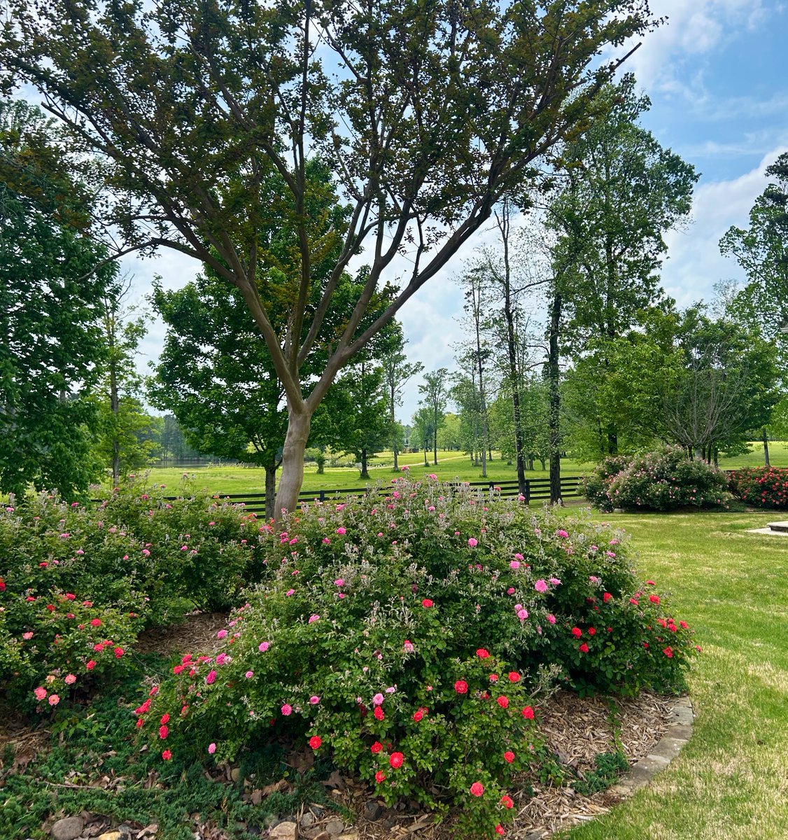 Rachel Smith tweet media