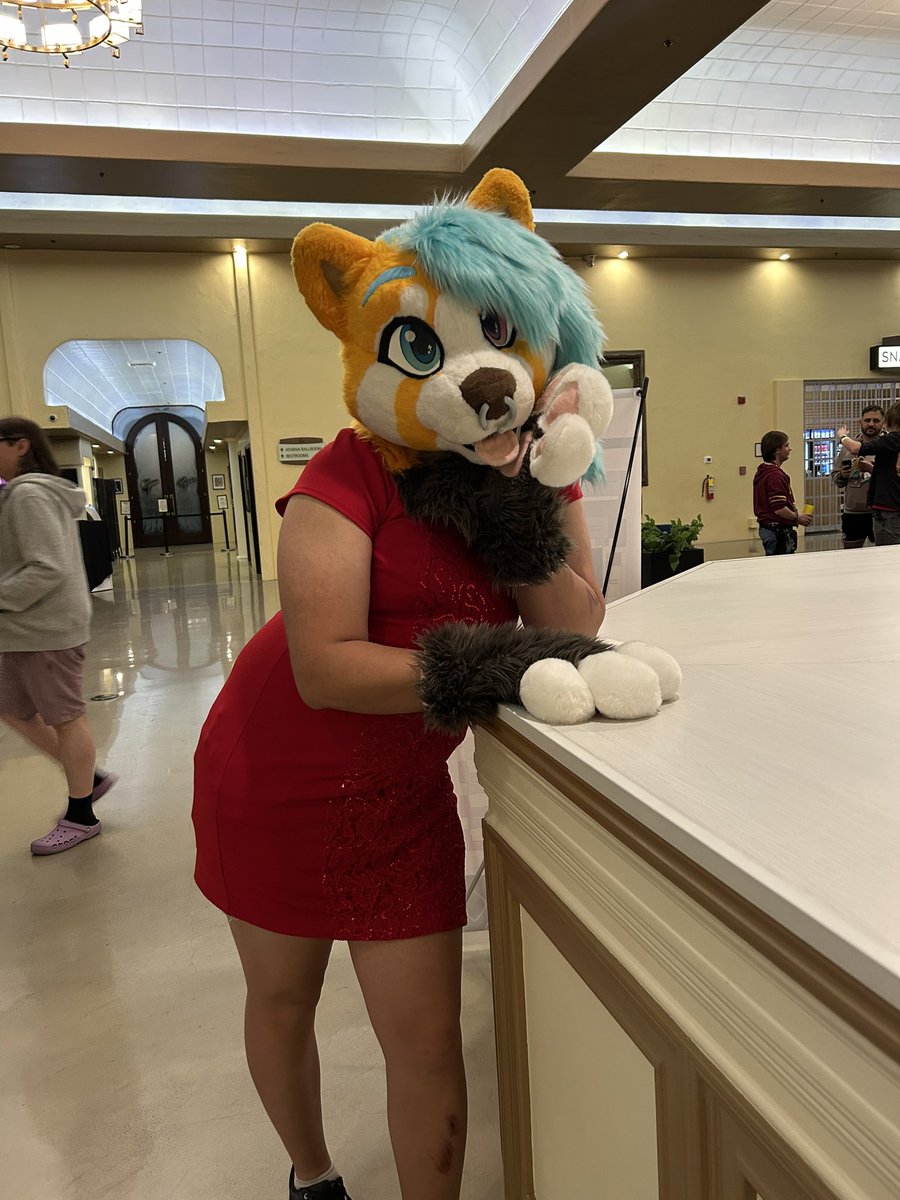 RedPandis's tweet image. Room service pleaseeee~ 🩵 #lvfc