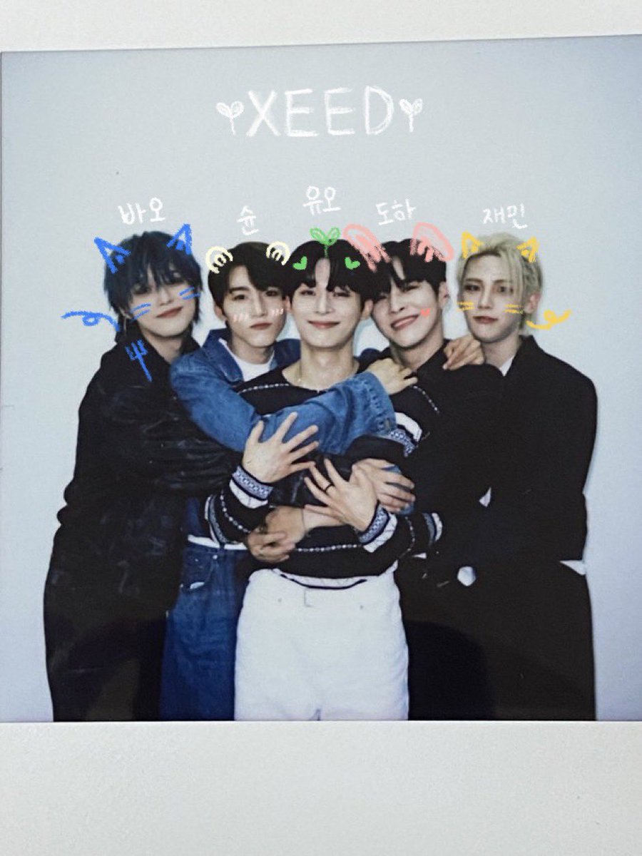 hrts4havit's tweet image. a guide to xd (formerly xeed) for the people who are getting interested in their redebut because those guys genuinely deserve ur attention; a thread 🌱
