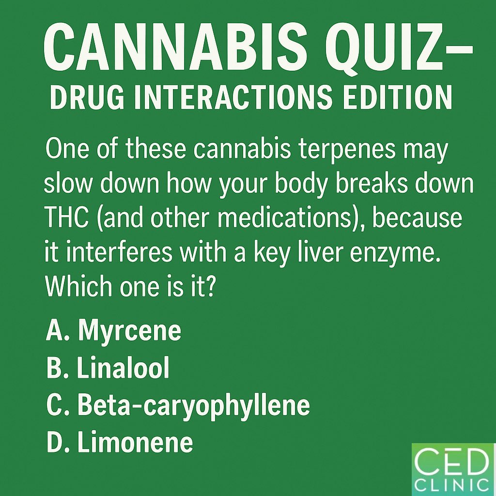 drcaplan's tweet photo. If you think all terpenes do is smell nice, think again.
One of these aromatic powerhouses can actually slow down how your body breaks down THC — and maybe even your meds.
Think you know which one? Take a guess.
#CannabisQuiz #KnowYourPlant #TerpeneScience #SmartUse 🌿🧠❓ https://t.co/fCjokKfR1M