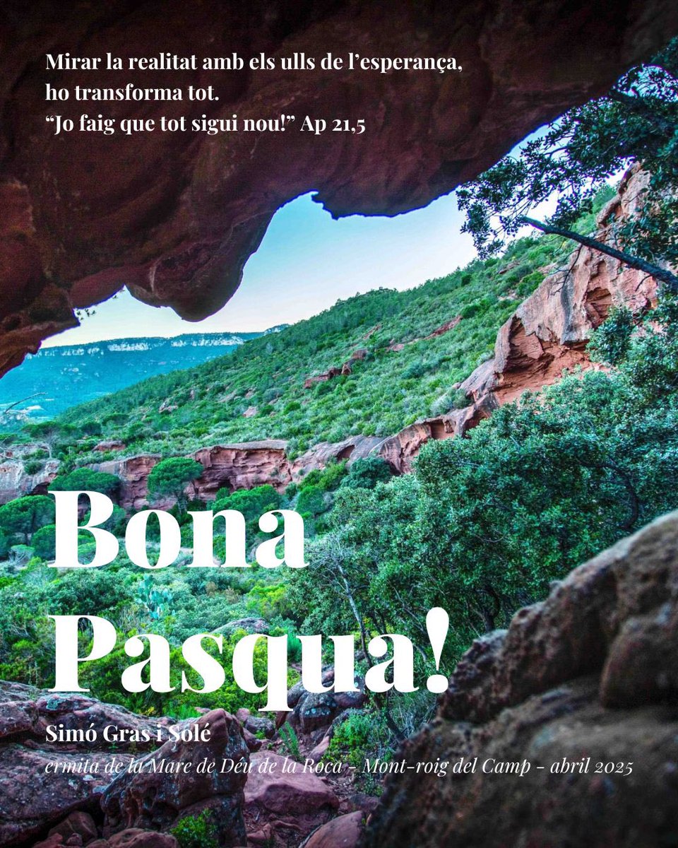 simogras's tweet image. 