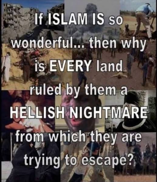 Imtiaz Mahmood tweet media